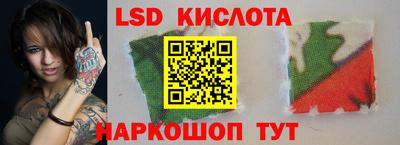spice Славгород