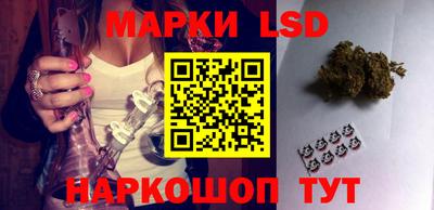 spice Славгород
