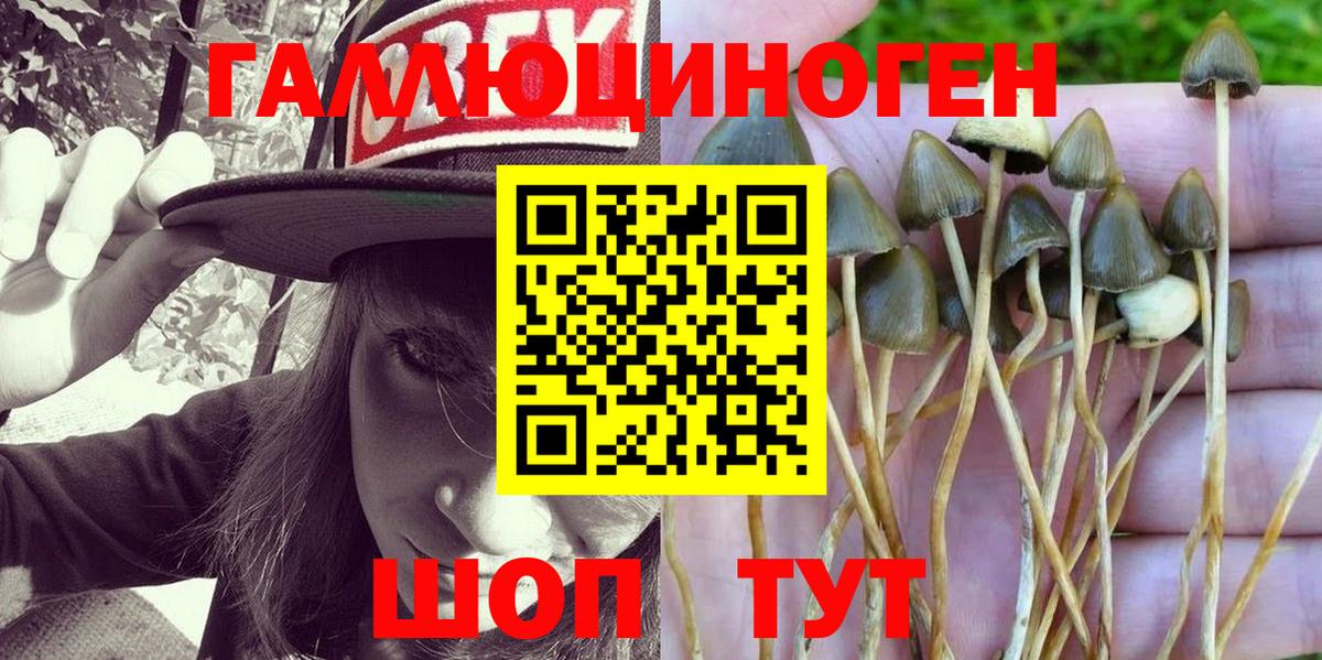 Галлюциногенные грибы MAGIC MUSHROOMS  Вход с VPN  Новоуральск  Галлюциногенные грибы прущие грибы 